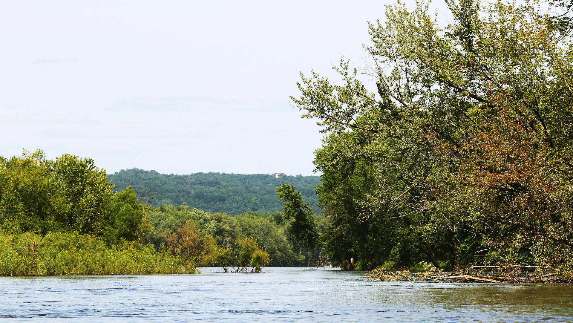 THE GREAT RIVER-0244
